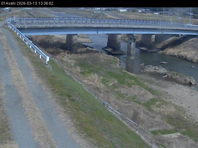 最新監視カメラ画像