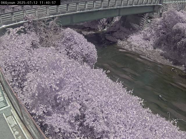 最新監視カメラ画像