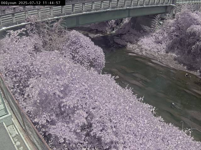 最新監視カメラ画像