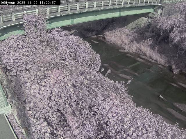 最新監視カメラ画像