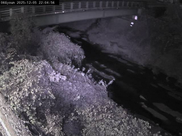 最新監視カメラ画像