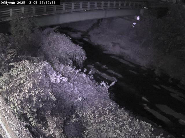 最新監視カメラ画像