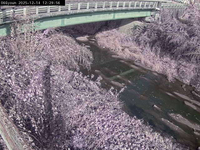 最新監視カメラ画像