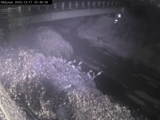 最新監視カメラ画像