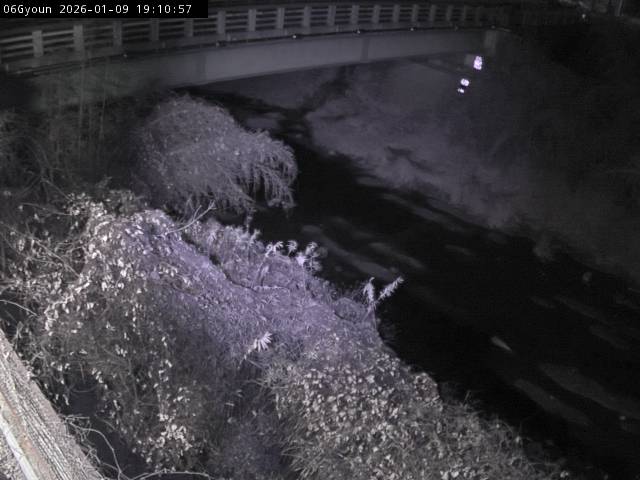 最新監視カメラ画像