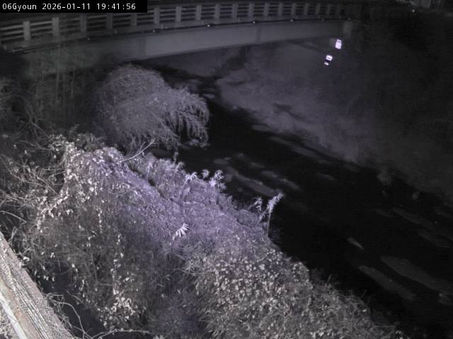 最新監視カメラ画像