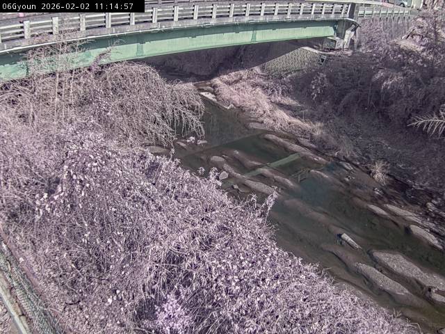 最新監視カメラ画像