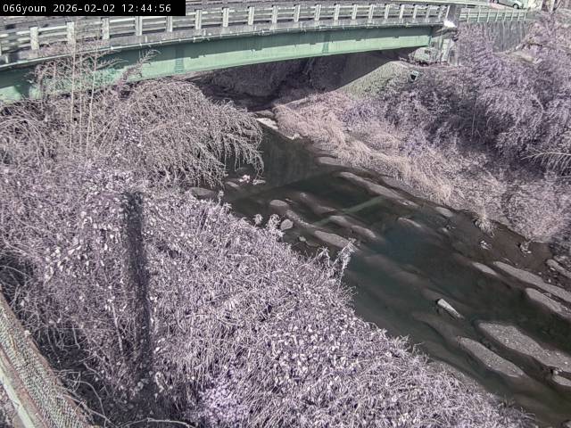 最新監視カメラ画像