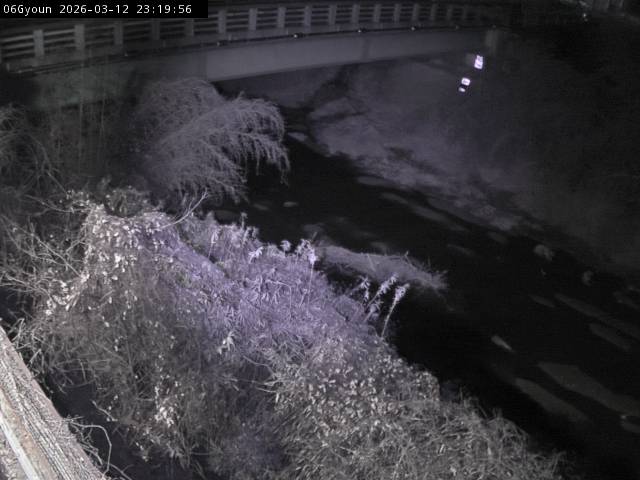 最新監視カメラ画像