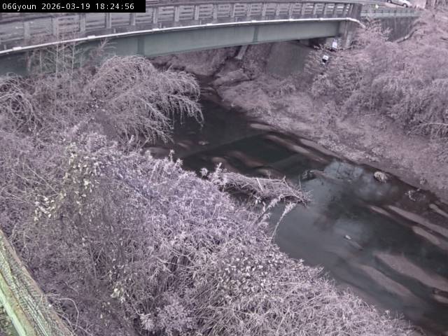 最新監視カメラ画像