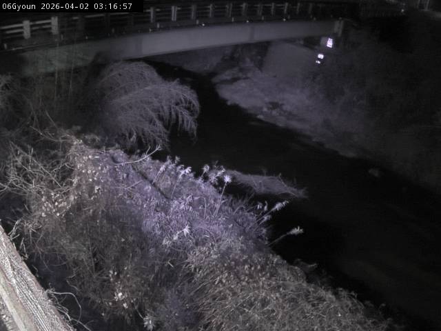 最新監視カメラ画像