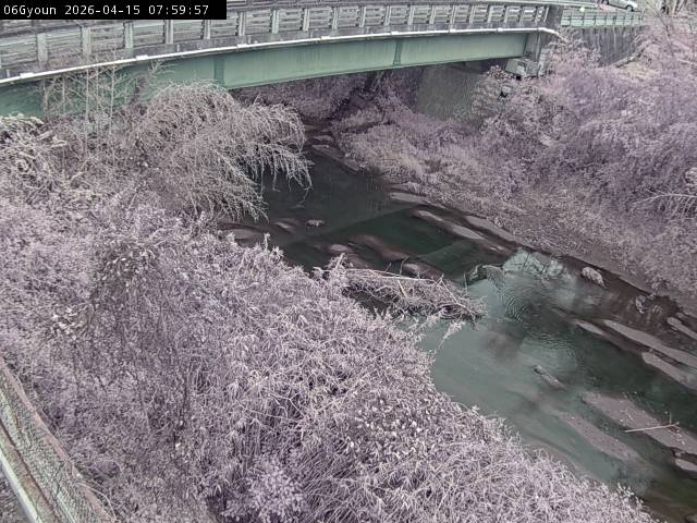 最新監視カメラ画像