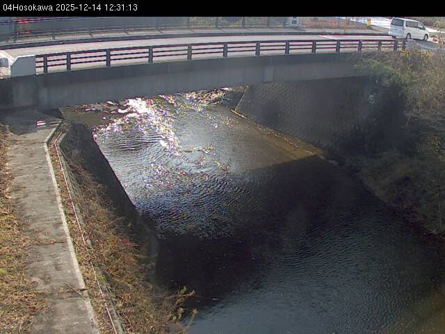 最新監視カメラ画像