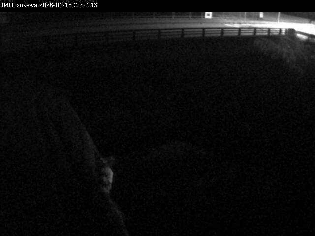 最新監視カメラ画像