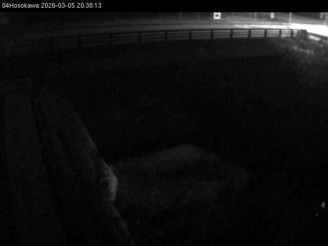 最新監視カメラ画像