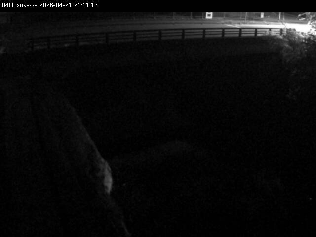 最新監視カメラ画像