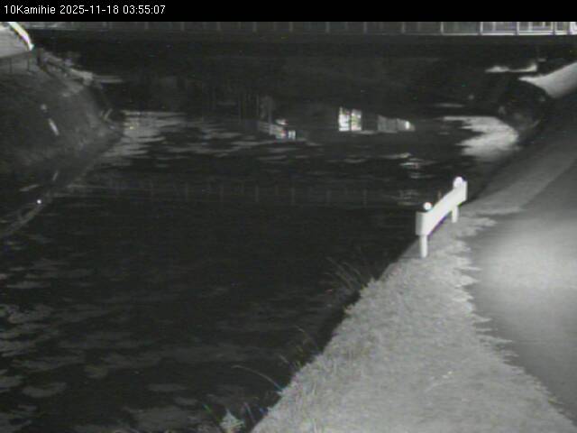 最新監視カメラ画像