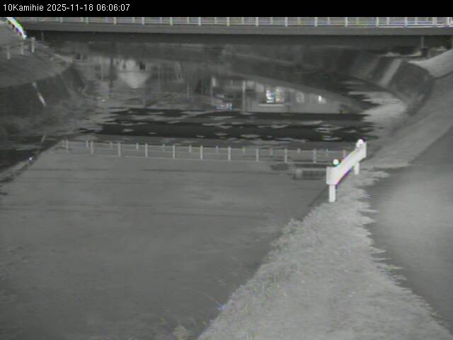 最新監視カメラ画像