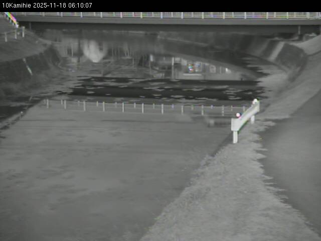 最新監視カメラ画像