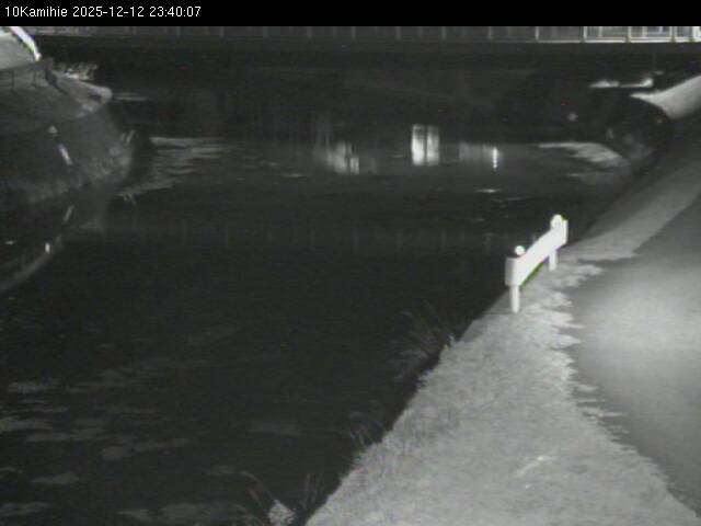 最新監視カメラ画像