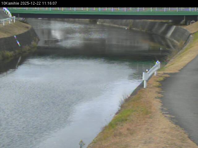 最新監視カメラ画像