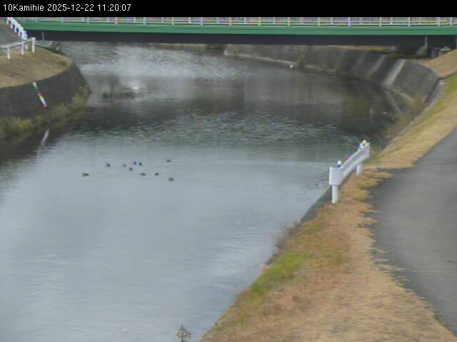 最新監視カメラ画像