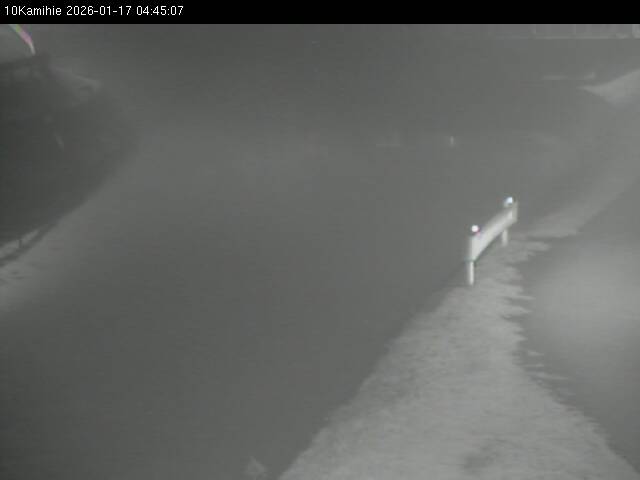 最新監視カメラ画像