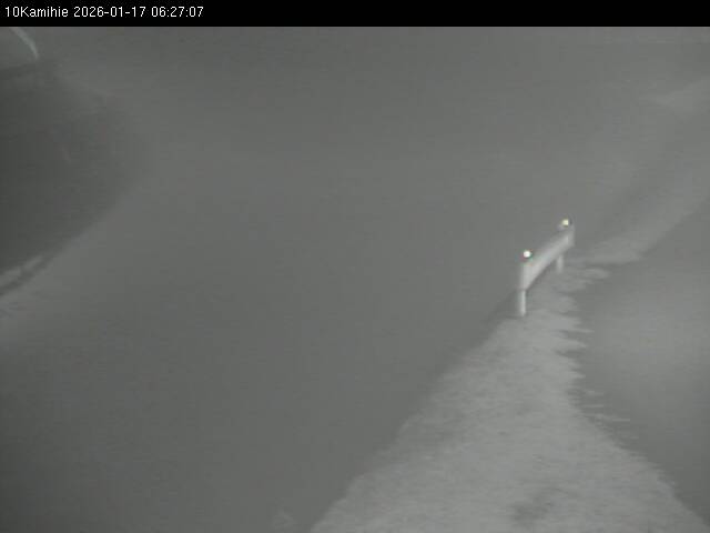 最新監視カメラ画像