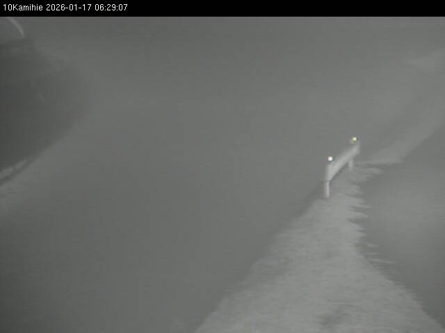 最新監視カメラ画像