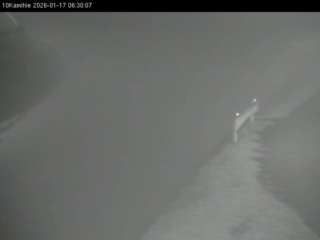 最新監視カメラ画像