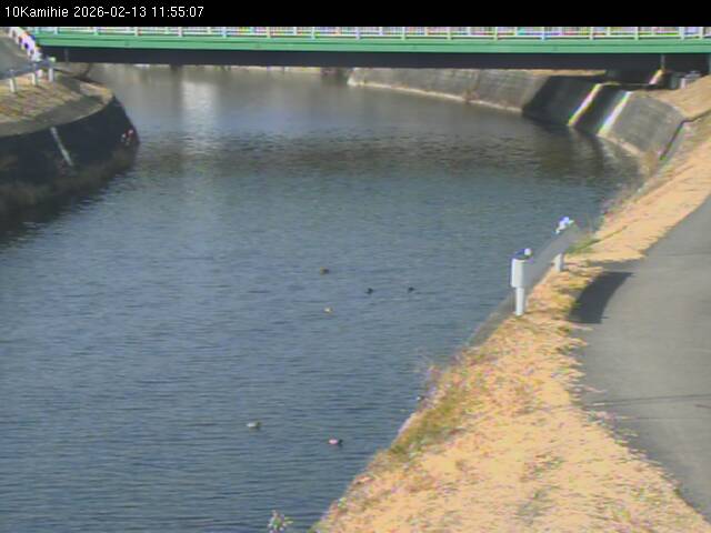 最新監視カメラ画像