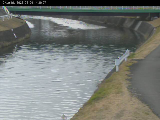 最新監視カメラ画像