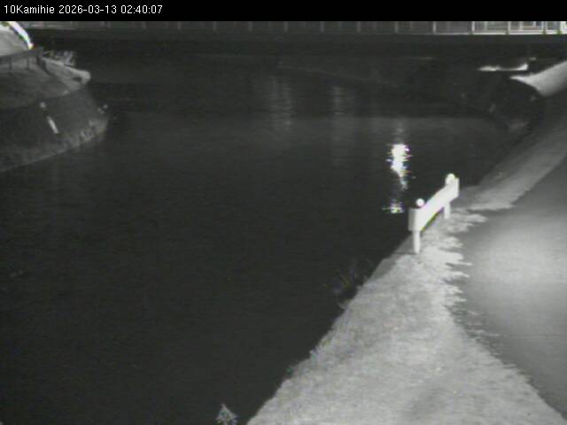 最新監視カメラ画像