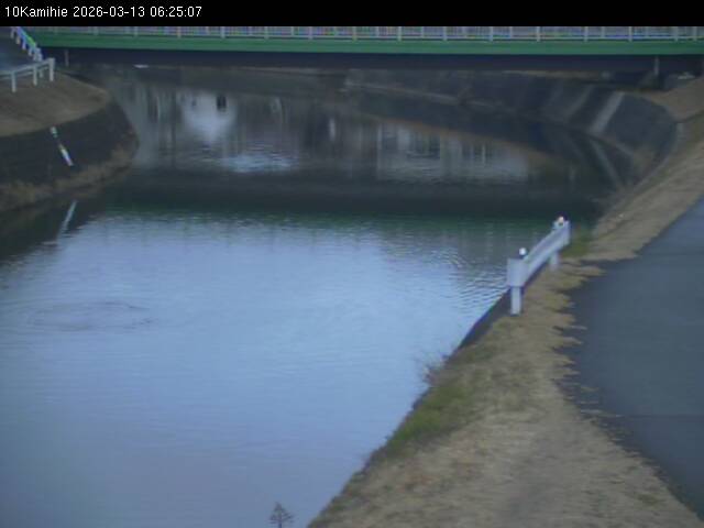 最新監視カメラ画像