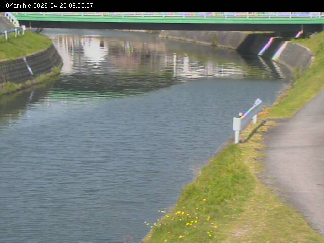 最新監視カメラ画像