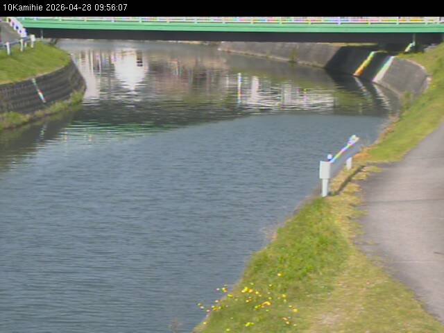 最新監視カメラ画像