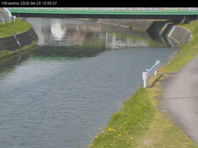 最新監視カメラ画像