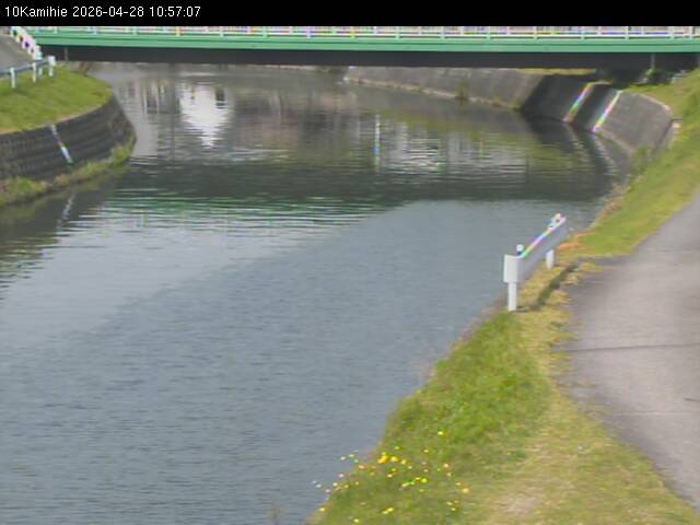 最新監視カメラ画像