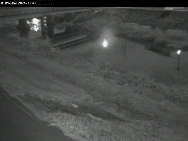 最新監視カメラ画像