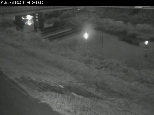 最新監視カメラ画像