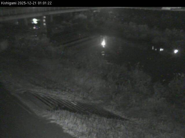 最新監視カメラ画像