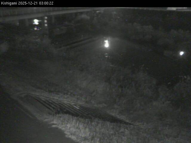 最新監視カメラ画像