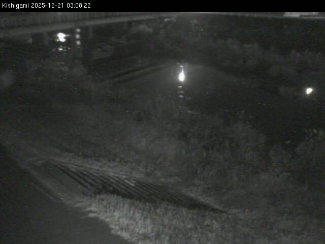 最新監視カメラ画像