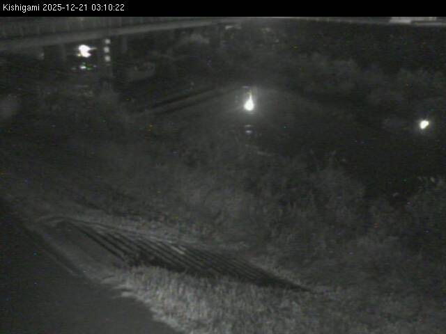 最新監視カメラ画像