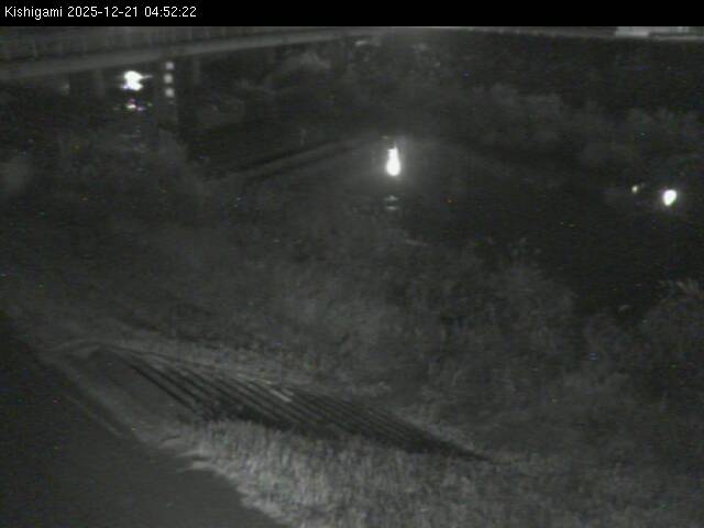 最新監視カメラ画像