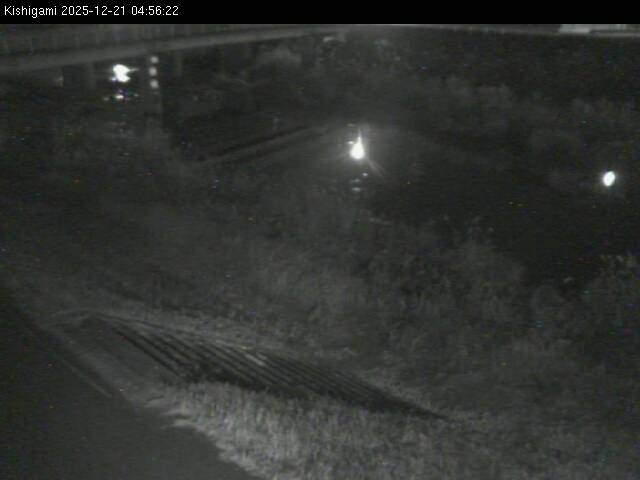 最新監視カメラ画像