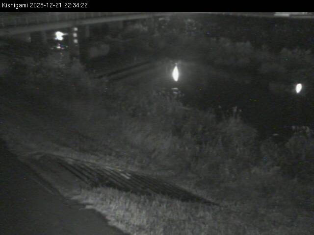 最新監視カメラ画像