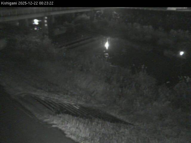 最新監視カメラ画像