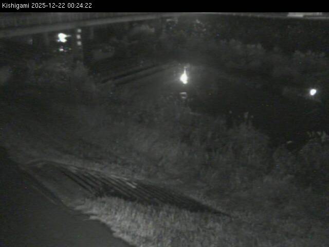 最新監視カメラ画像