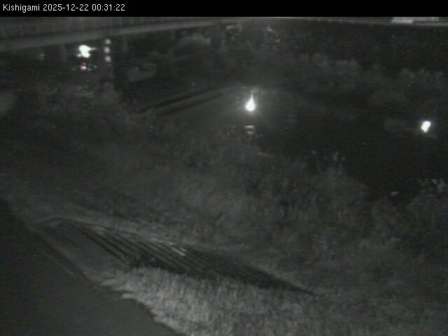 最新監視カメラ画像